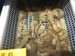 -神洲四海大酒楼(王府井澳门中心店)
