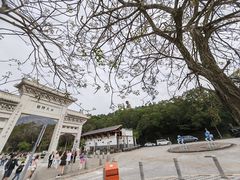 -天坛大佛
