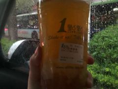 四季春茶-1点点(湖明店)