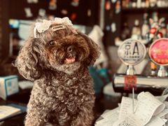 -My Way Town买味堂·东南亚餐厅(亦庄店)