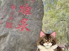 -蝴蝶泉公园