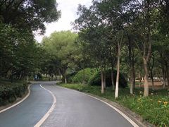 -长广溪湿地公园