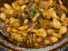 石锅鰻鳞鱼-隆喜元鱼汤包·海鲜(中联广场店)