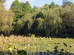 -月牙潭公园