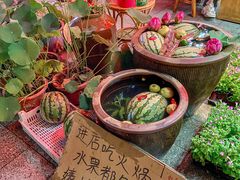 -赵美丽·重庆社区火锅·直营店(火车东站·中豪国际店)