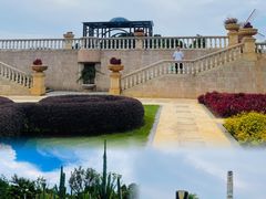 -东莞植物园