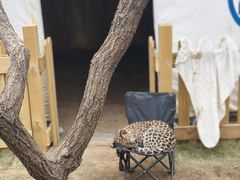 -鄂尔多斯野生动物园