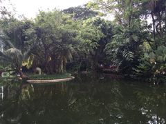 iphone_upload_pic-新加坡飞禽公园