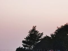 -深圳湾公园(南山区)
