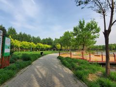 -东郊湿地公园