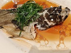 -稻香酒家·35年老字号(侨光店)