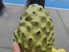 -油麻地果栏
