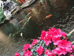 顺景温泉-顺景温泉