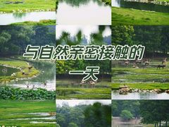 -南海子公园