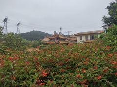 -仙岳公园