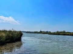 -盐城丹顶鹤湿地生态旅游区