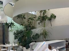 -大树餐厅(朝阳大悦城店)