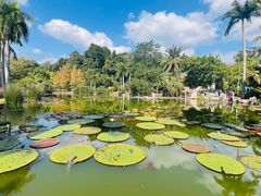 -中国科学院西双版纳热带植物园