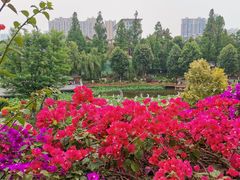 -成都市文化公园