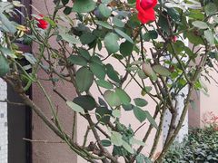 -水门巷餐厅(古子城店)