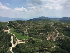 -军营村