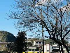-万峰林风景区