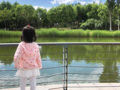 -大兴滨河森林公园