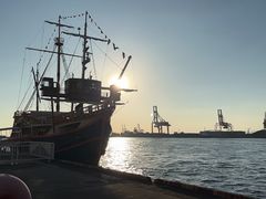 -大阪海游馆
