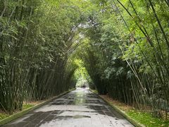 -望江楼公园