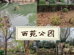 -西苑公园
