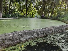 -成都市活水公园