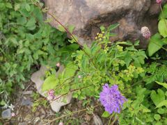 -白草畔自然风景区