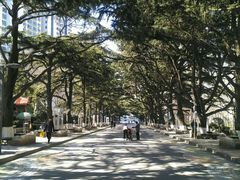 -贮水山儿童公园