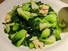 -東大方(湖州白鹭迎店)