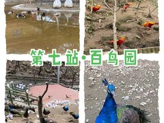 -栾川竹海野生动物园