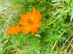 -苍岩山风景名胜区