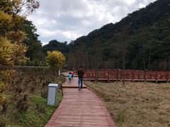 -广州市石门国家森林公园