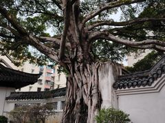 -墨池公园