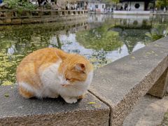 -西园戒幢律寺