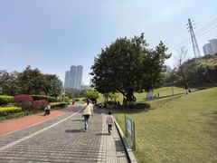 -龙头寺公园