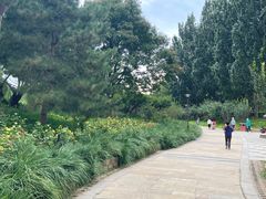 -元大都城垣遗址公园