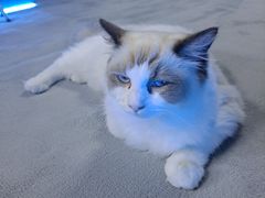 -零纪元VR体验馆·桌游(黄浦店)