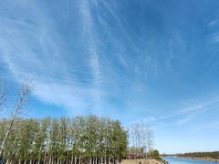 -马家湾湿地公园