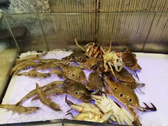 海鲜-瑞德姆美人鱼海底演艺主题餐厅(亚龙湾店)