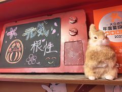 -隐月· 㐂和食屋(芝罘万达公馆店)