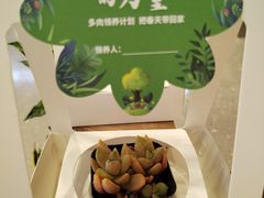 -食通天·寰宇集(杭州万象城店)
