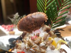 -尚海豆捞(乐虹坊店)