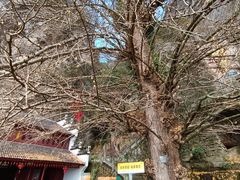 -大慈岩风景区