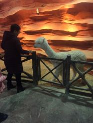 -酷嗒动物文化乐园(cutezoo西溪乐天城店)