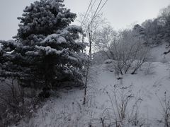 -广元曾家山国际滑雪场